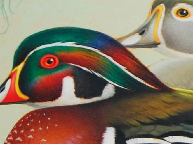 colorful detail image of duck painting by Athos Menaboni